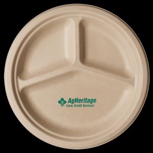 10 inch Kraft 3 Compartment Compostable Paper Plate