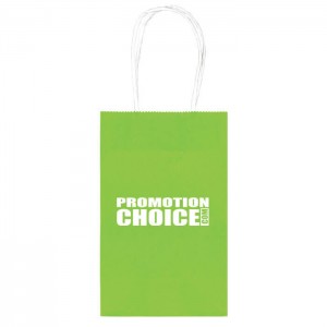 Medium Colored Paper Kraft Bags