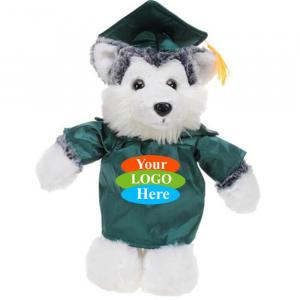 Husky in Graduation 8"