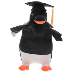 Penguin in Graduation 12"