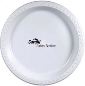 9" White Plastic Plates