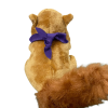 Custom Stuffed Squirrel - Back View