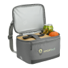 Recycled 6 Can Lunch Cooler