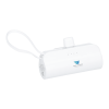 Hue 5000 mAh Power Bank with Multi Tips