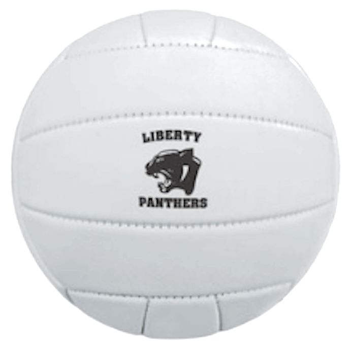 Mini Synthetic Leather Volleyballs