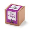 Chakra Growables Planter in Kraft Gift Box