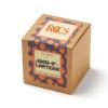 Small Sugar Pumpkin Growables Planter in Kraft Gift Box