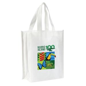 Small Shopper Bag