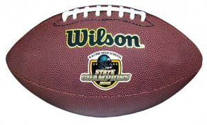 Wilson Composite Leather Footballs 