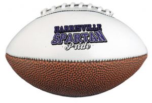 10 Inch Signature Footballs 