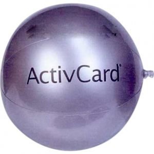 24 inch Silver Beach Balls
