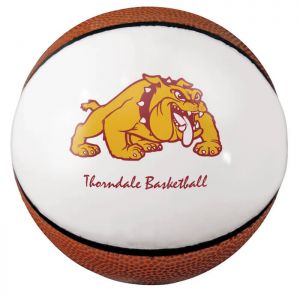 Custom Mini Signature Basketballs - 1 Panel